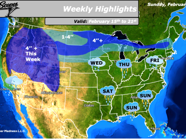 Weekly Highlights February 15th to&nbsp;21st