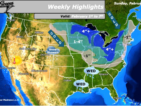 Weekly Highlights February 1st to&nbsp;7th