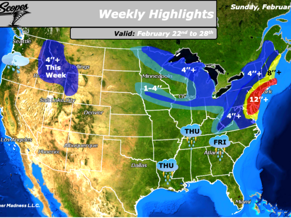 Weekly Highlights February 22nd to&nbsp;28th