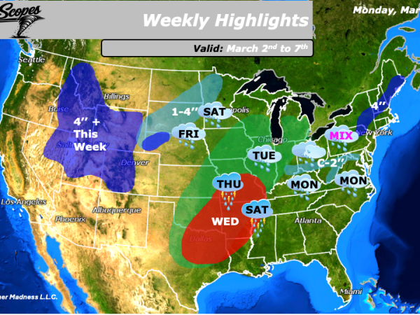 Weekly Highlights March 2nd to&nbsp;7th