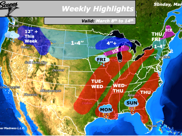 Weekly Highlights March 8th to&nbsp;14th